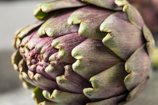 Organic Raw Purple Artichoke Vegetables