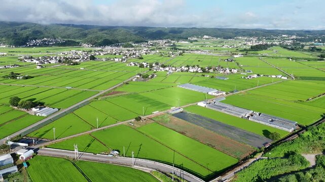 Lush green rice paddies stretch under bright blue skies. Farms divide fields with neat, straight paths and small buildings. Villages dot the horizon with scattered homes and quiet roads