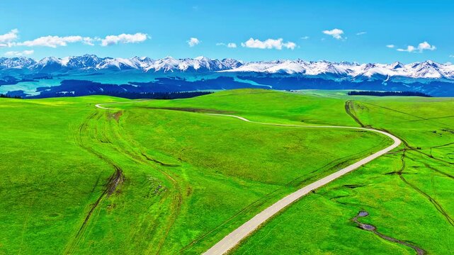 Winding road through vibrant green grassland towards snow covered mountain range under a clear blue sky in Kalajun, Xinjiang, China.