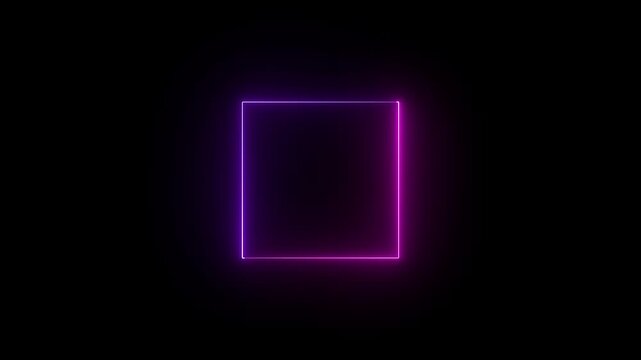 Pink and Purple  color neon box on black background 4k video