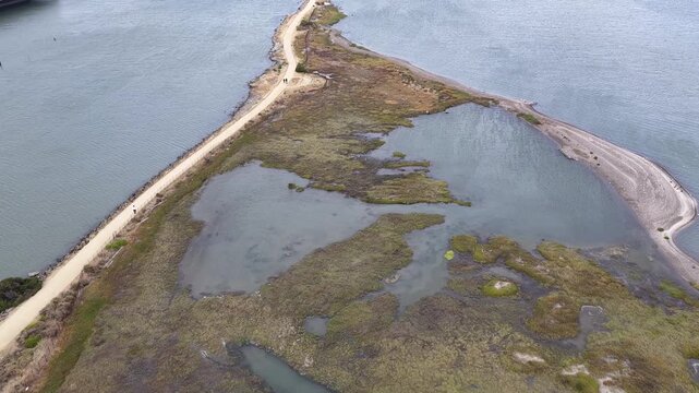 A sandy trail winds through wetlands as two walkers reach Heron's Head Park.