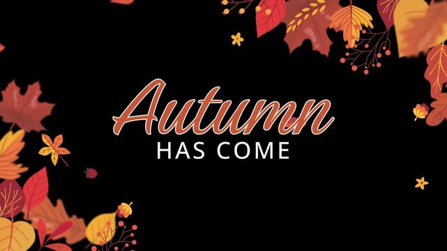 Autumn foliage leaves frame motion graphics overlay 4k footage with alpha channel transparency for seasonal video design