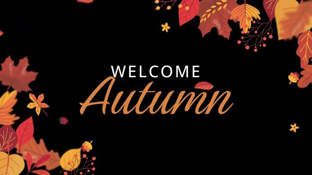 Autumn foliage leaves frame motion graphics overlay 4k footage with alpha channel transparency for seasonal video design