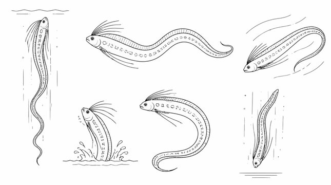 Oarfish set in various poses, hand-drawn marine life illustrations