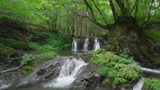 深緑の中の滝とその音声（環境音あり）