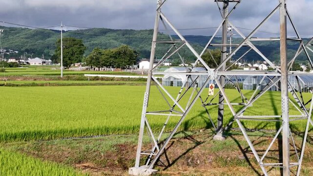 Lush green rice fields stretch wide under cloudy skies. Metal tower stands tall, casting long shadows on the earth. Rows of greenhouses glow softly against the rural backdrop