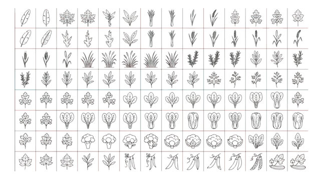 Minimalist botanical line icons, set of 112 hand drawn leaf and plant symbols, black outline floral vector elements for logo design and branding