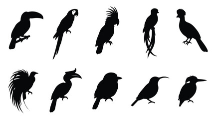 Tropical bird silhouettes set, exotic parrot and toucan vector icons, 10 wild avian species shapes for nature design and wildlife branding © Shahzaib