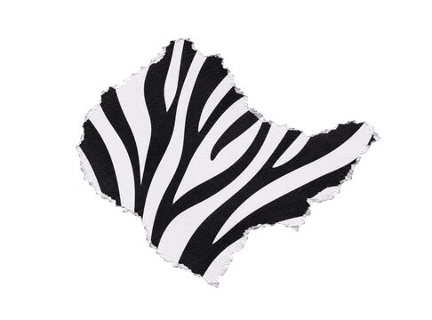zebra pattern ripped paper