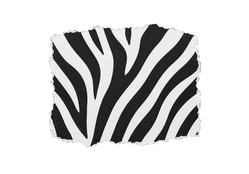 zebra pattern ripped paper