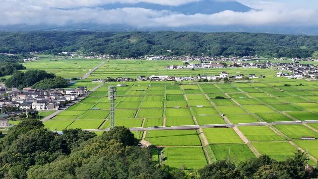 Vast green rice paddies stretch across rolling hills. White buildings dot the landscape, nestled in the fields. Mountains rise softly in the distance, under a partly cloudy sky