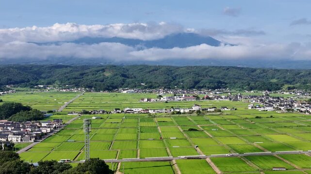 Vast rice fields stretch under soft blue skies. Clouds drift above distant green mountains. Small village nestled among fertile lands. Peaceful, tranquil, rural beauty captured from above