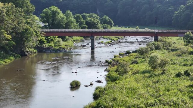 River flows calmly beneath a sturdy bridge. Green banks frame the water's gentle current. Trees tower above, casting soft shadows. Sunlight glints off the ripples, creating a peaceful scene