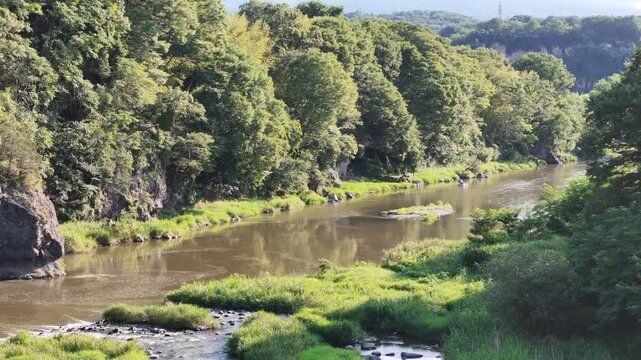 River flows calmly beneath a sturdy bridge. Green banks frame the water's gentle current. Trees tower above, casting soft shadows. Sunlight glints off the ripples, creating a peaceful scene