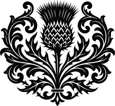 Black decorative thistle flower vector illustration with intricate vintage baroque swirls and scrollwork ornament