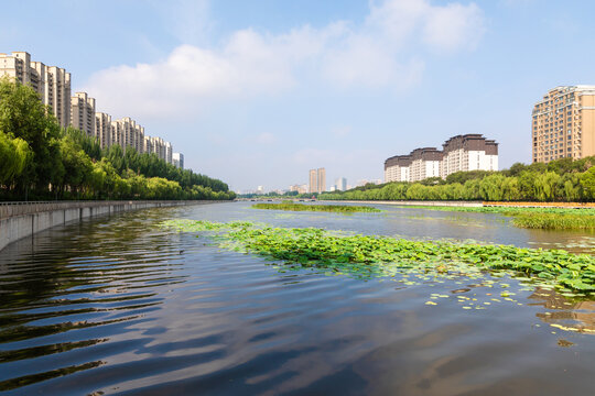 Urban River Wetlands and Architecture