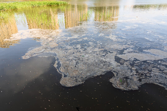Polluted wetlands in the city