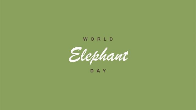 World Elephant Day Text Animation Minimalist Script Typography on Green Background Social Media Awareness Motion Graphic Template for Wildlife Conservation Event