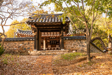 Fototapeta premium Traditional Korean Hanok Entrance Gate and Stone Wall Featuring Forest Background with Autumn Foliage
