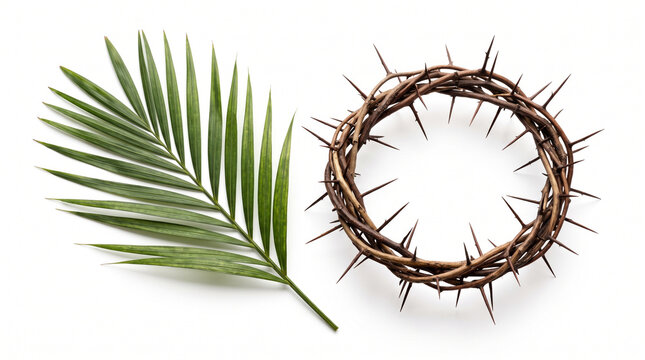 Palm leaf and crown of thorns isolated on white background