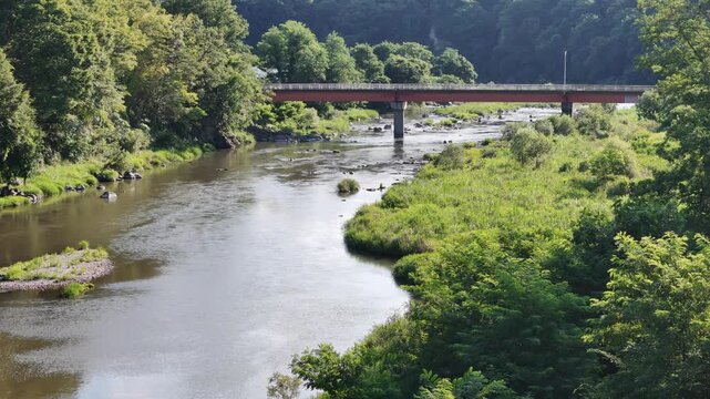 River flows calmly under a red bridge. Lush green trees line both banks. Sunny day enhances natural beauty. Ideal for travel or nature content. No people or animals in frame
