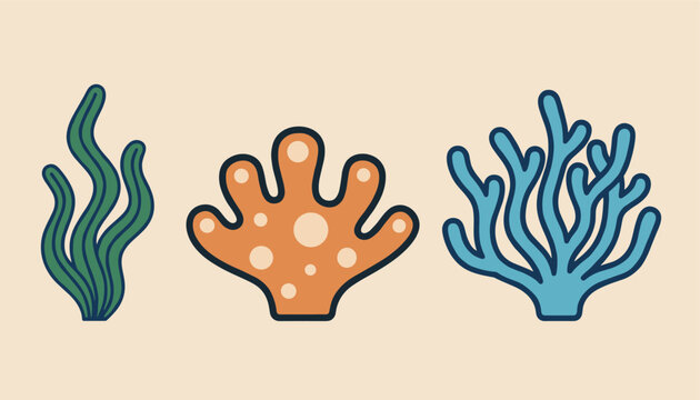 Underwater sea plants and colorful corals including green seaweed, orange brain coral, and blue branching coral.