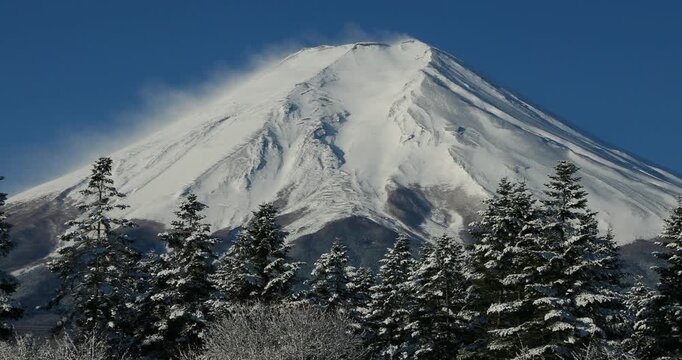 降雪後の富士山