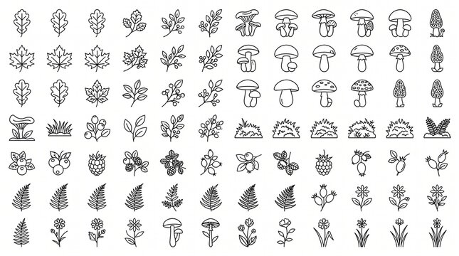 Minimalist forest line icons set, collection of 84 nature outline symbols, black botanical illustrations of leaves mushrooms and berries on white