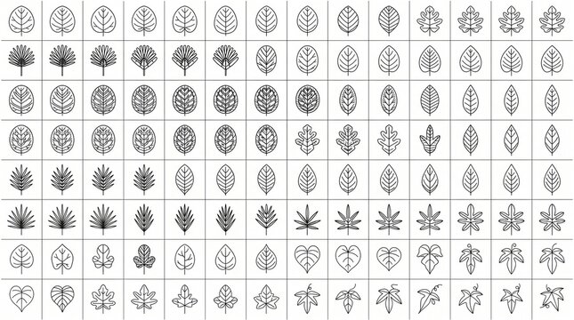 Minimalist leaf line icons set, collection of 120 geometric foliage symbols, black botanical outline illustrations for branding and web design