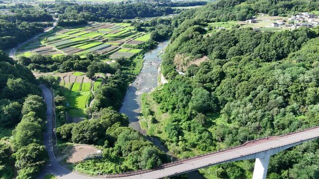 Green valley flows beside modern bridge. Riverside fields stretch under clear blue skies. Lush forests frame the serene landscape. Bridge connects nature with human progress
