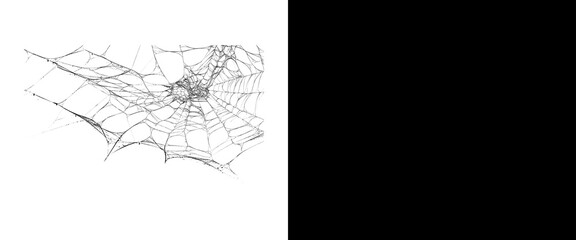 Fototapeta premium Intricate spider web design on white and black backgrounds, spooky cobweb texture for Halloween, realistic spiderweb pattern for horror themes