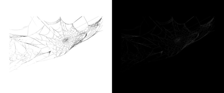 Intricate spider web design on white and black backgrounds, spooky cobweb texture for Halloween, delicate arachnid silk pattern overlay