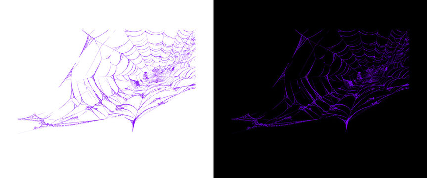 Purple spider web illustration set, glowing neon cobweb design on black and white backgrounds, spooky halloween decorative elements