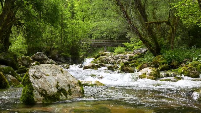 Clear mountain stream Sunik Water Grove flowing through a forest in Lepena Valley with moss covered rocks, Slovenia