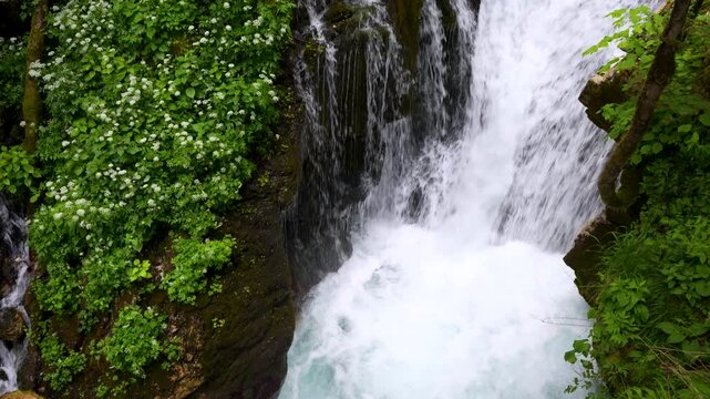 Šunik Water Grove in Lepena Valley Slovenia with rushing Lepenjica stream