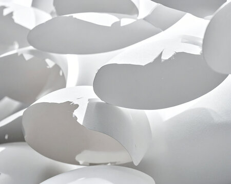 High-detail macro of fractured white eggshell fragments. Irregular edges and curved surface textures. Composition forms a monochrome abstract pattern. Natural organic material residue for design backg