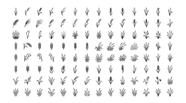 Hand drawn grass and cereal plant icons, set of 112 botanical vector elements, black ink sketch of wheat and wild meadow herbs for nature design