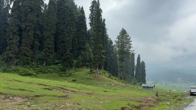 Rural Environment Journey Adventure. Travel Destination Kashmir Nature Beauty Green Landscape Valley Village City Roads Travel Pollution Blooms Buds Scenic Tourism Mountains Countryside Urban 