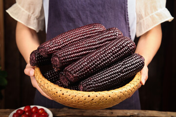 Fresh Black Corn from Northeast China in Woven Basket - Traditional Sweet Purple Kernels Ready for Steaming © ChuThi