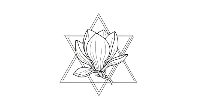 Lotus flower with star of david