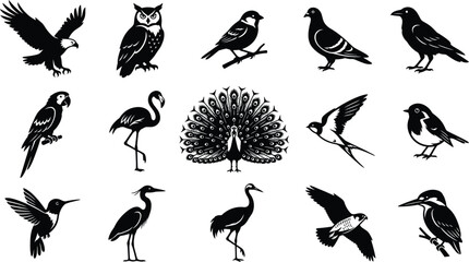 Fototapeta premium Diverse bird silhouettes collection featuring eagle, owl, parrot, flamingo, peacock, and hummingbird in black on a white background