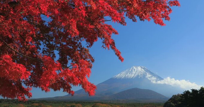 紅葉の精進湖から富士山