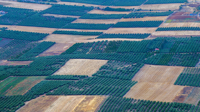 Geometric orchard fields and farmland near Nea Moudania