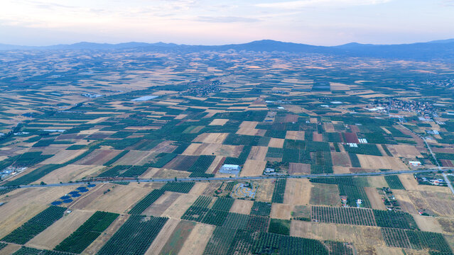 Patchwork Agricultural Fields