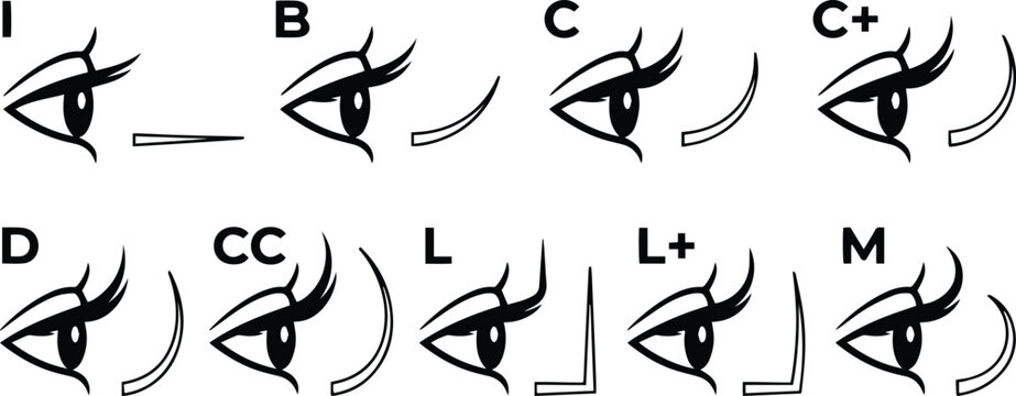 eyelash extension curl types chart, lash curl guide, i, b, c, c+, d, cc, l, l+, m curls, vector