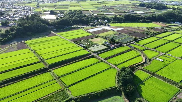 Vibrant green fields stretch under clear skies. Rows of crops form geometric patterns across the land. Tiny structures dot the landscape near agricultural zones