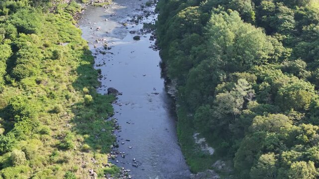 Aerial view of a winding river through lush green forest. Water flows gently over rocks and shallow patches. Trees frame the riverbanks with dense, vibrant foliage