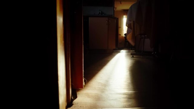 Bright sunbeam streams across wooden floor in dark residential hallway during sunset. Low angle view of domestic apartment interior showing kitchen cabinet.