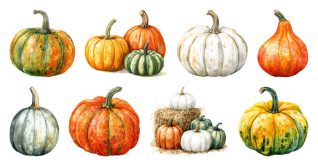 Obraz premium PNG Watercolor pumpkins autumn harvest illustration, element set on transparent background