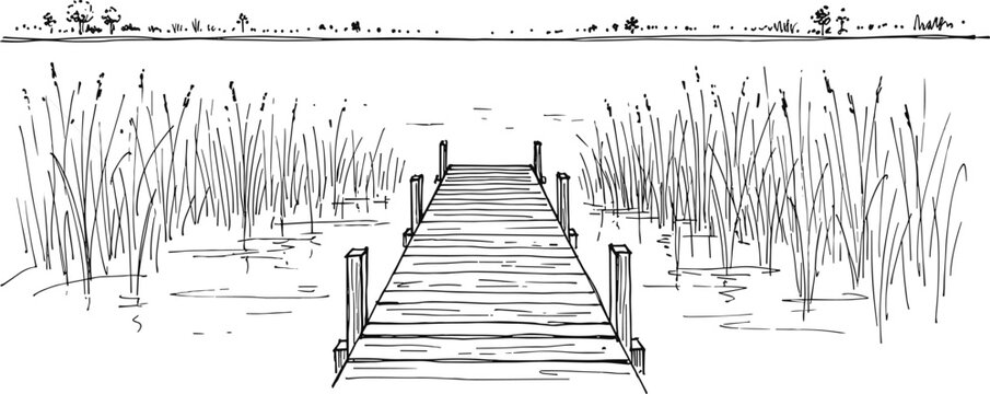 Hand drawn sketch of long wooden lake pier surrounded by tall wild grass marshland horizon view,